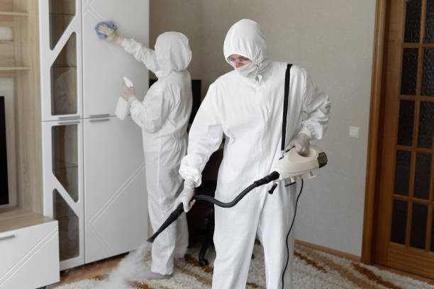 Best Biohazard Mold Removal  in Austintown, OH