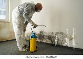 Best Asbestos and Lead Testing During Mold Inspection  in Austintown, OH